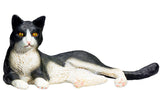 Mojo Ackerland liegende Katze schwarz und weiß – 387367