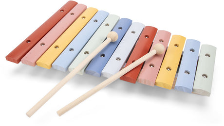 Woet ® houten xylofoon speelgoed - kleurrijk speelgoedinstrument met muziekboekje en 2 stokjes - stimuleert muzikale ontwikkeling - vanaf 2 jaar