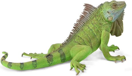 Collecta-Figur – grüner Leguan – (XL) – wilde Tiere – handbemalt – Miniatur
