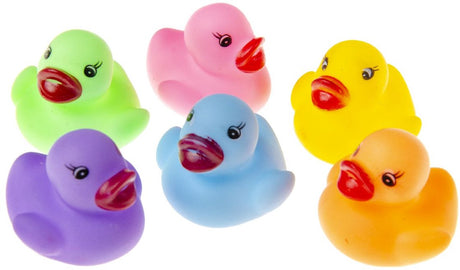 Duckiez farbige Ente – 24 Stück
