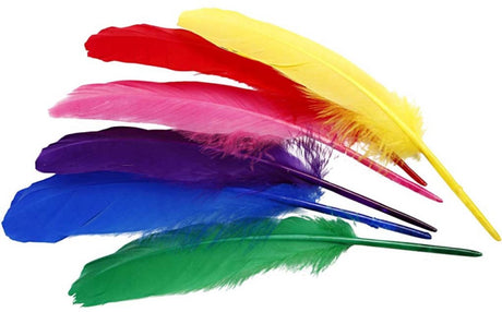 Kreativunternehmen https: www.cchobby.nl federn-l-20-cm-verschiedene-farben-36-stück-1-box
