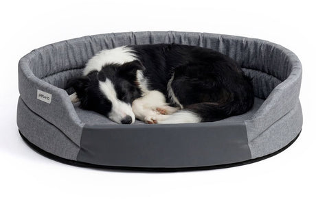 Peluvio arita – Hundebett wasserabweisend – Hundebett schmutzabweisend – Größe L – rutschfeste Unterseite – leicht, reisefreundlich – niedriger Einstieg ohne Kanten – langlebiger Schaumstoff – geruchsarm, leicht zu reinigen – Komfort für jeden Hund