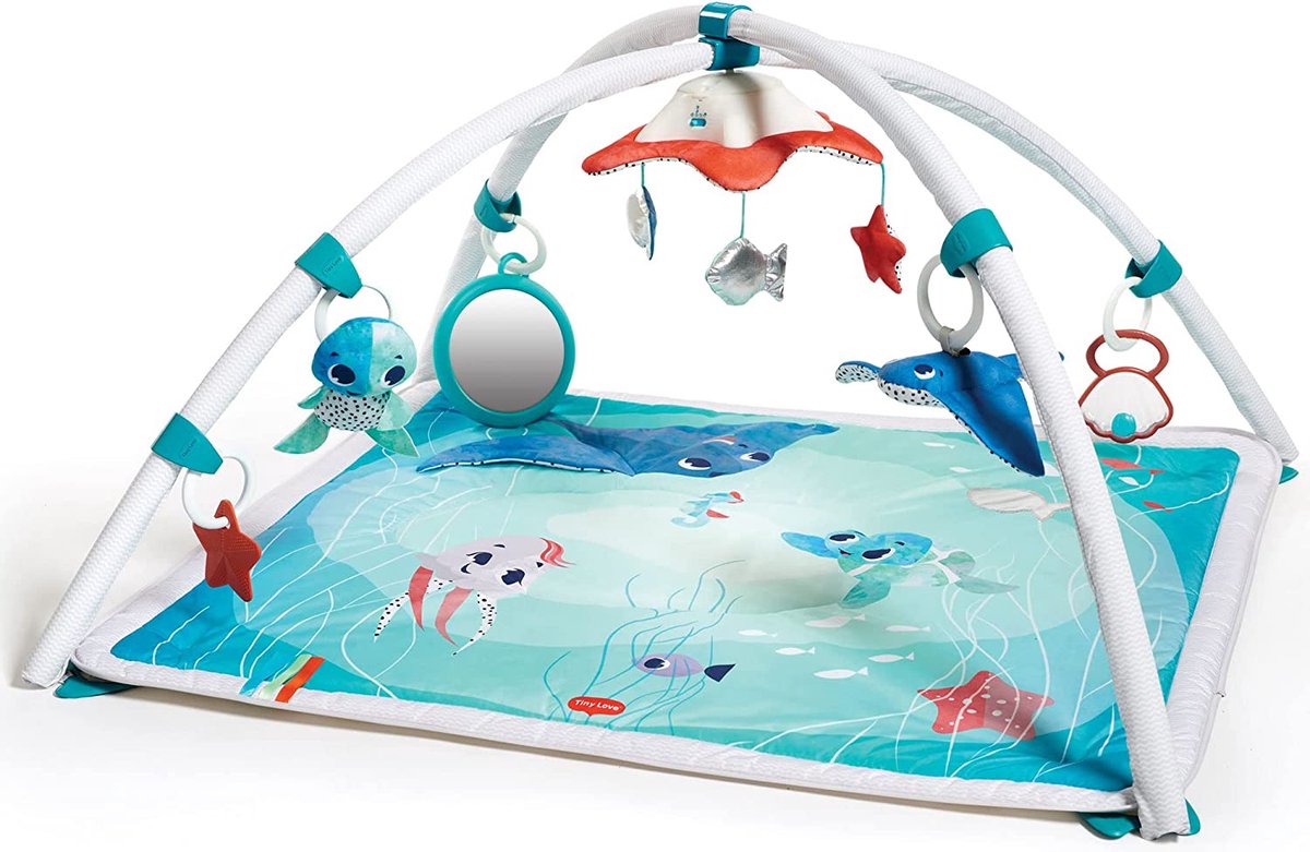 Tiny Love Baby Gym Gymini – Treasure the Ocean
