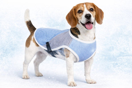 Flamingo Kühljacke Hund - Kühlweste Hund - Kühlweste Hund - L - 40 cm - Frozen Blue Grey - Wasserabsorbierender kühlender Hundemantel für heiße Tage