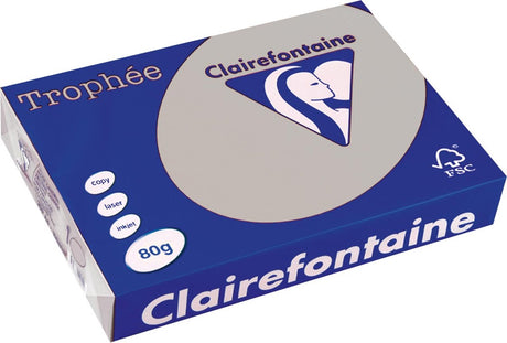 Clairefontaine trophée gekleurd papier, a4, 80 g, 500 vel, lichtgrijs