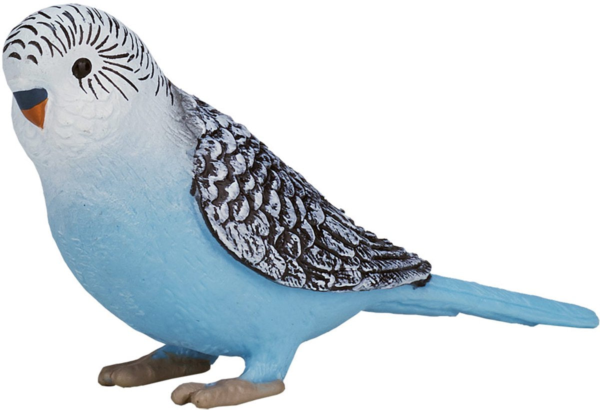 Mojo Ackerland Wellensittich blau - 387292