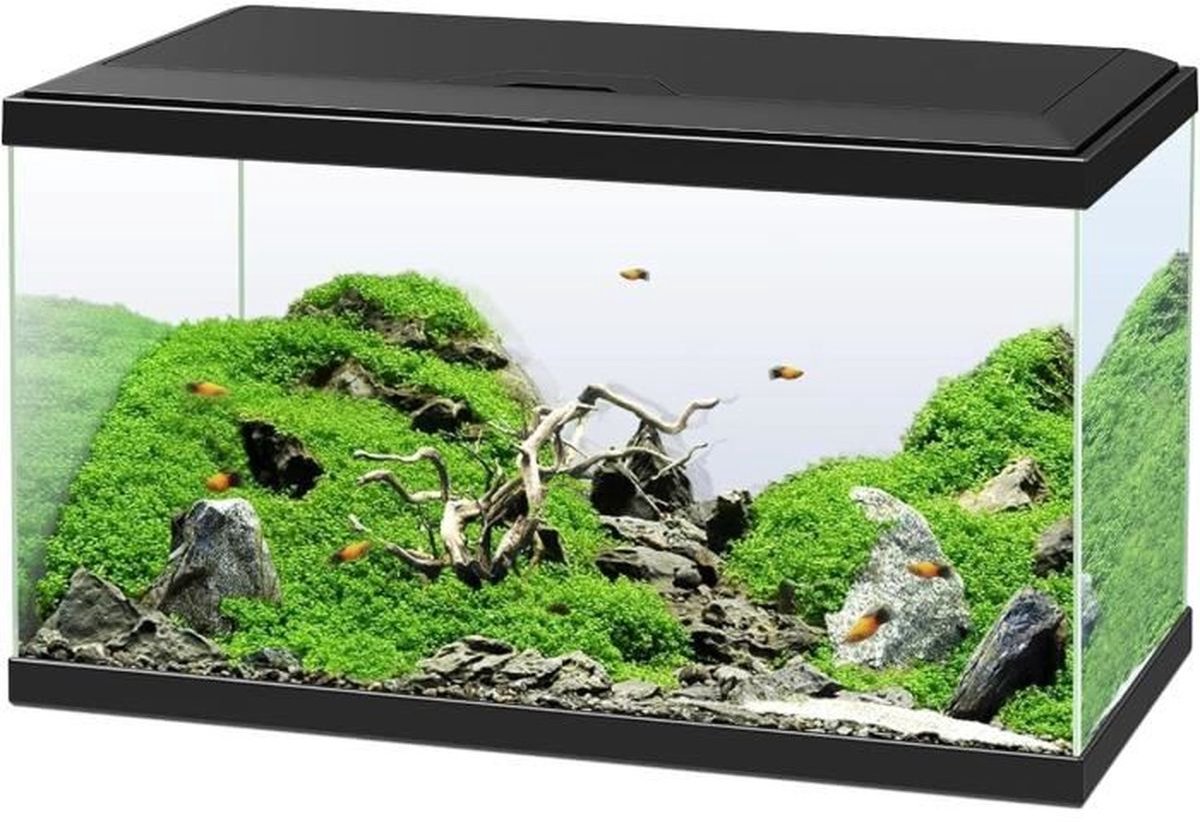 Ciano – Emotionen Pro 60 l – Aquarium-Set – CF80-Filter – LED 50 W