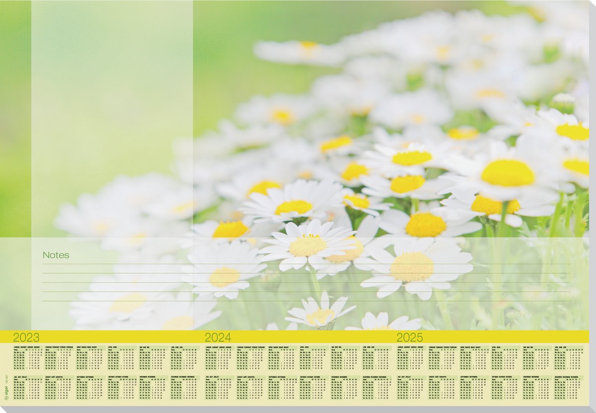 Sigel Design Untersetzer – Papier – schöne Gänseblümchen – A2 – Jahre 2023 2024 2025 – si-ho307