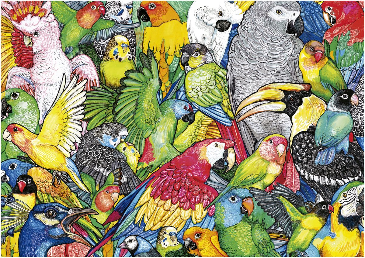 Educa - Puzzle - 500 Teile - Papagei