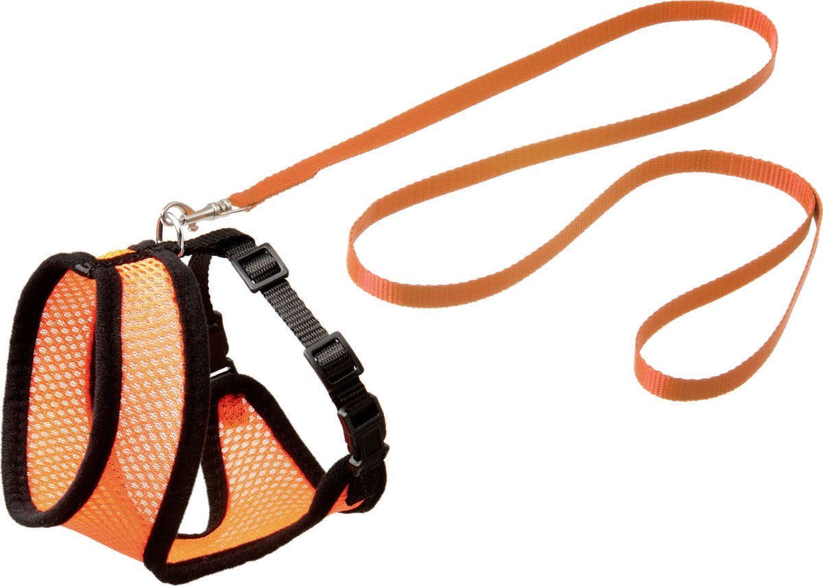 Flamingo-Geschirr mit Laufleine für Katzen – orange schwarz – geeignet für Europäisch Kurzhaar, Britisch Kurzhaar, Siam, Bengalen – Brustumfang 32 cm