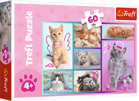Trefl-Puzzle – süße Katzen – 60 Teile – bunter Karton.