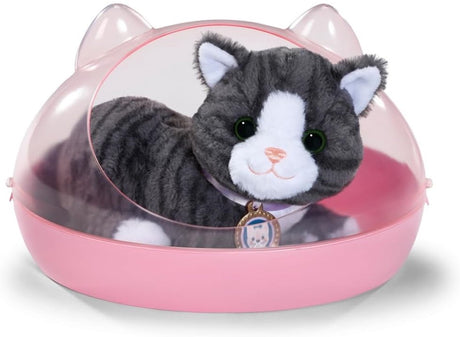 Baby born My Cat Keks mit Schachtel
