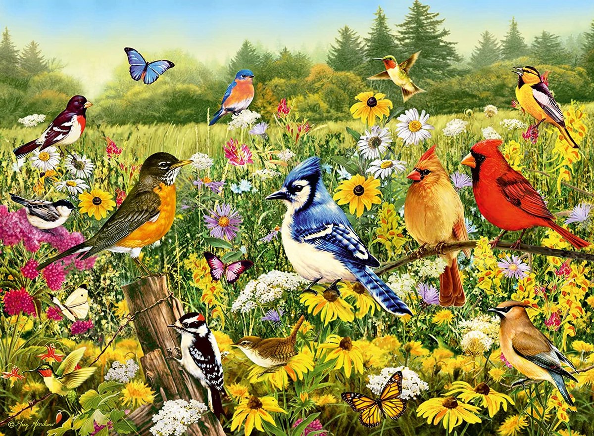 Ravensburger Jigsaw Puzzle Vögel auf der Wiese, 1000st.