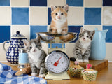 Ravensburger – katjes in de keuken – legpuzzel – 1500 stukjes