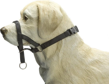 Beeztees dog control - halsband hond - zwart - s