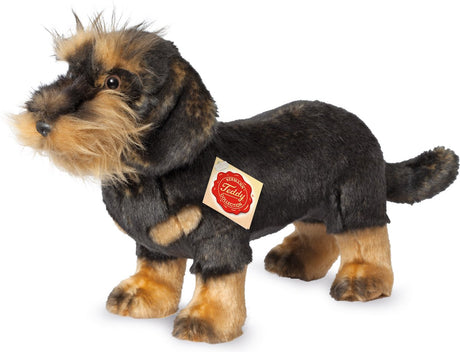 Teddy hermann hermann teddy knuffel hond ruwharige teckel