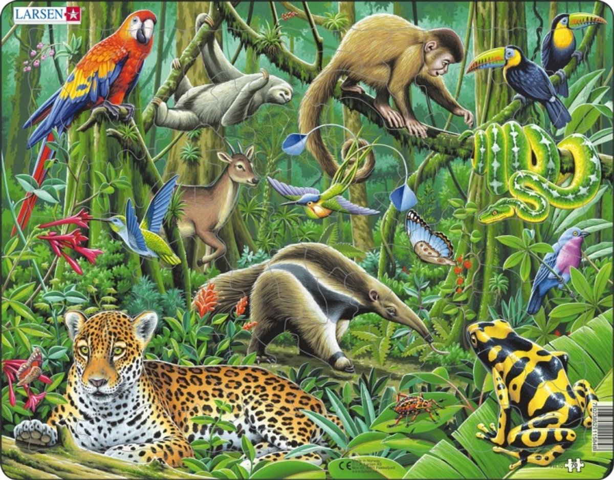 Selecta Larsen Puzzle Tiere – Südamerikanischer Regenwald, 70 Teile.