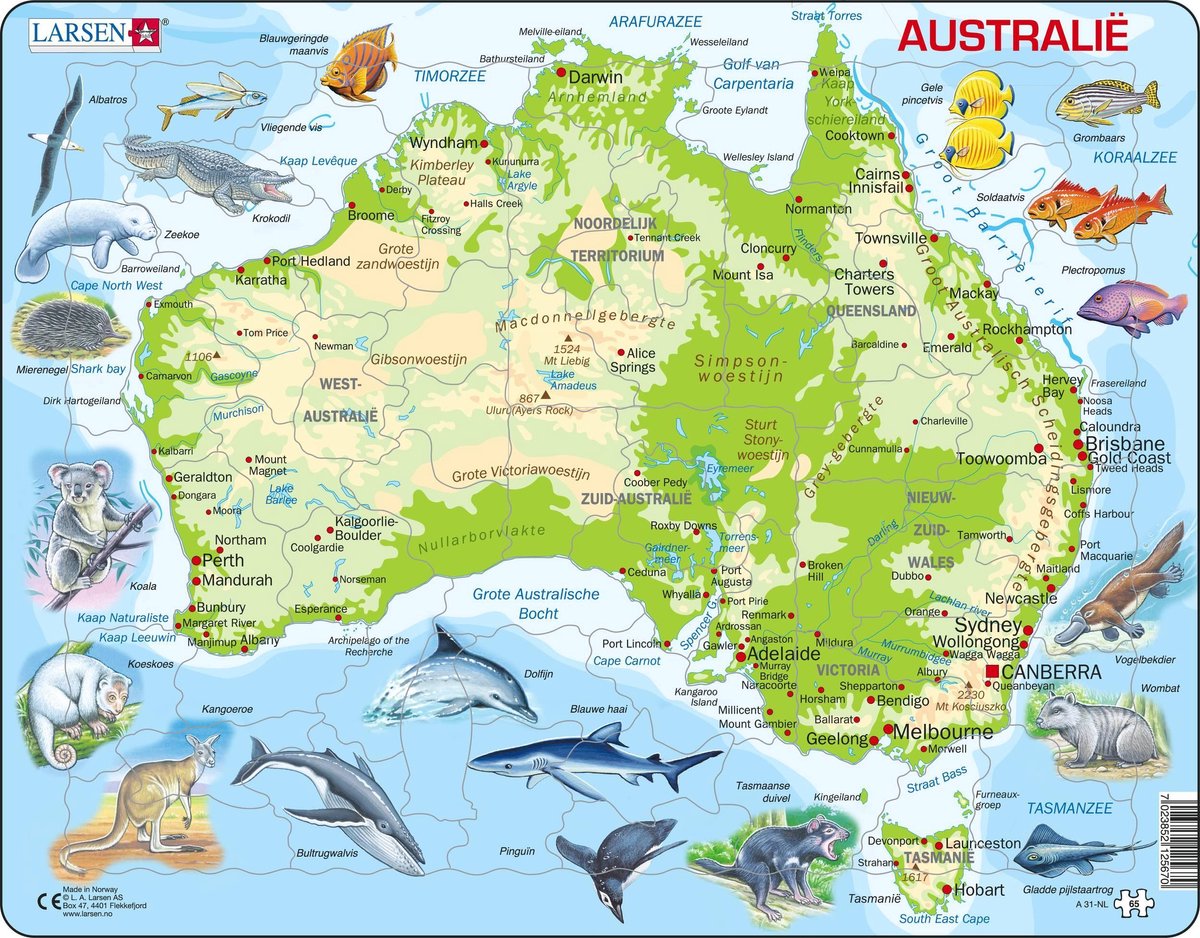 Selecta Larsen Puzzle-Karte Australien geografisch mit Tieren, 65 Teile.