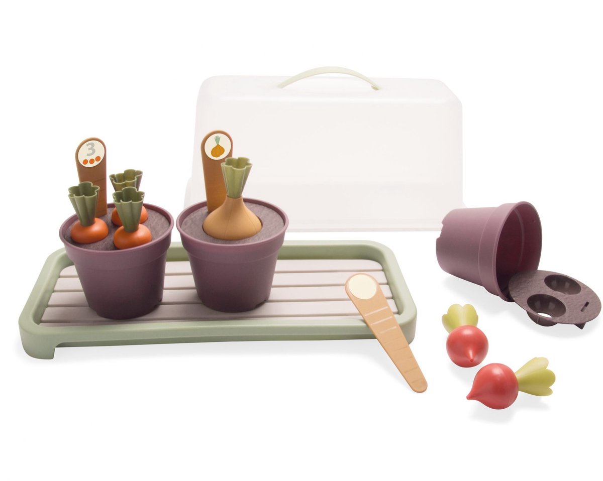 Dantoy Bio-Mini-Gewächshaus-Set grüner Garten