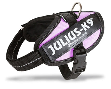 Julius K9 weltberühmter IDC-Stromkabelbaum für Textetiketten, rosa, Größe: Mini-Mini