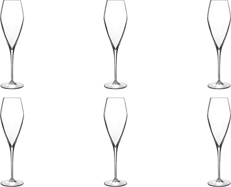 Luigi bormioli atelier champagneglas groot - 270 ml - 6 stuks