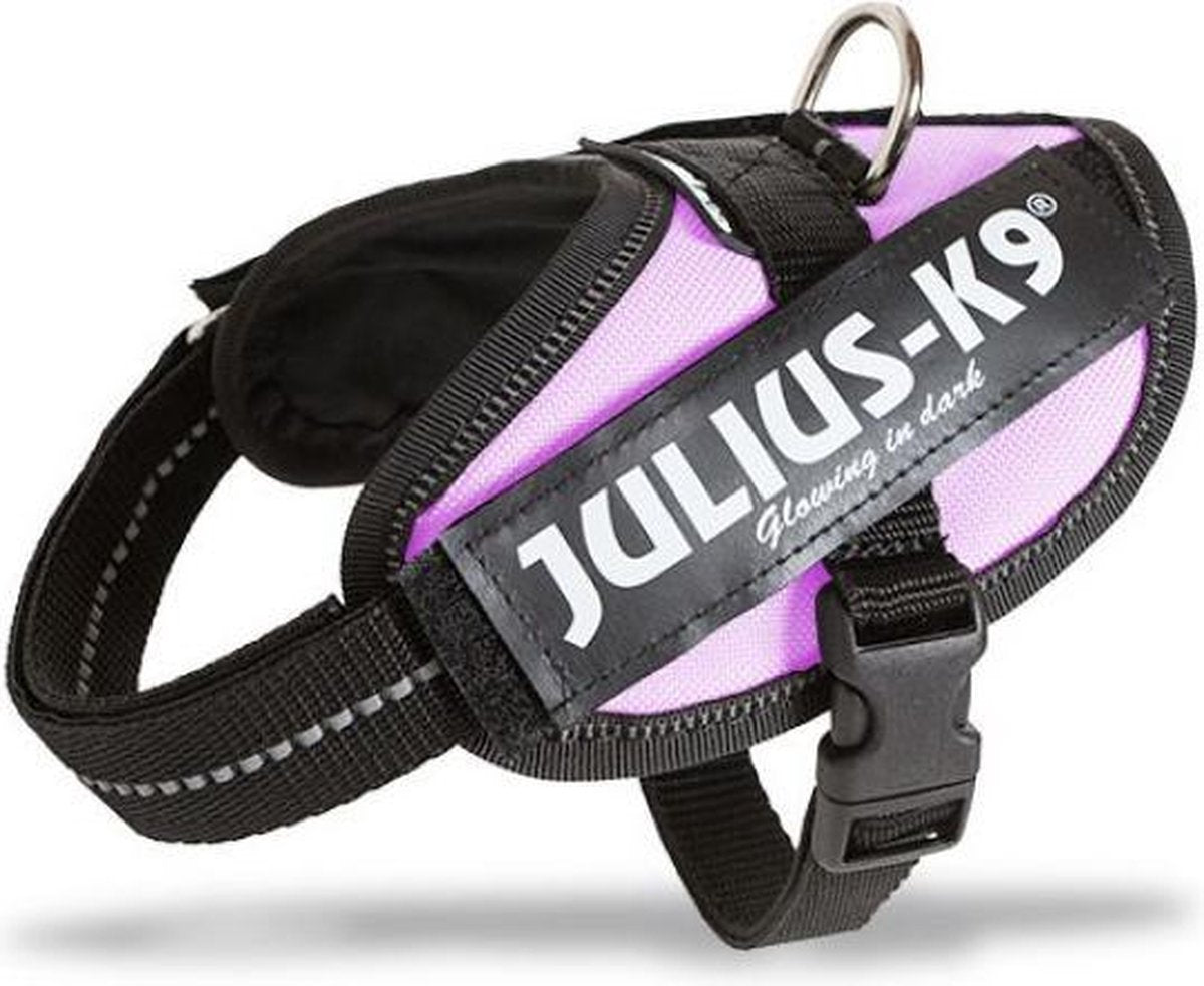Julius K9 weltberühmter IDC-Stromkabelbaum für Textetiketten, rosa, Größe: Mini-Mini