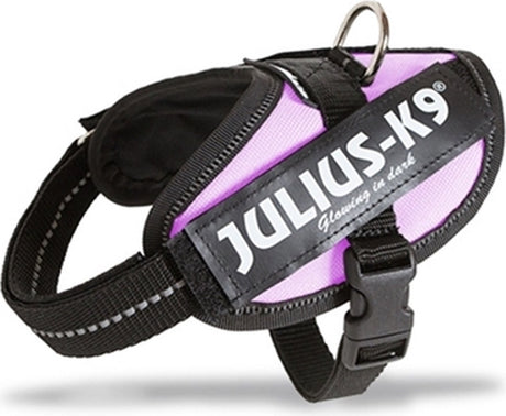 Julius k9 julius-k9 idc®power-geschirr, 2xs – baby2, rosa
