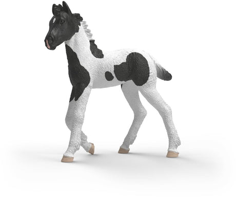 Schleich Horse Club Sammlerfohlen Rocky 81481