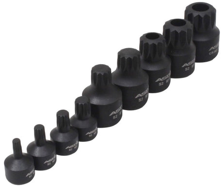 Asta satra kracht spline doppen 10 delige set op rail - veeltanddop bitten set - 12 tand bit - asta