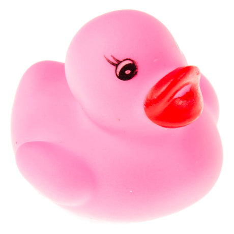 Duckiez farbige Ente – 24 Stück