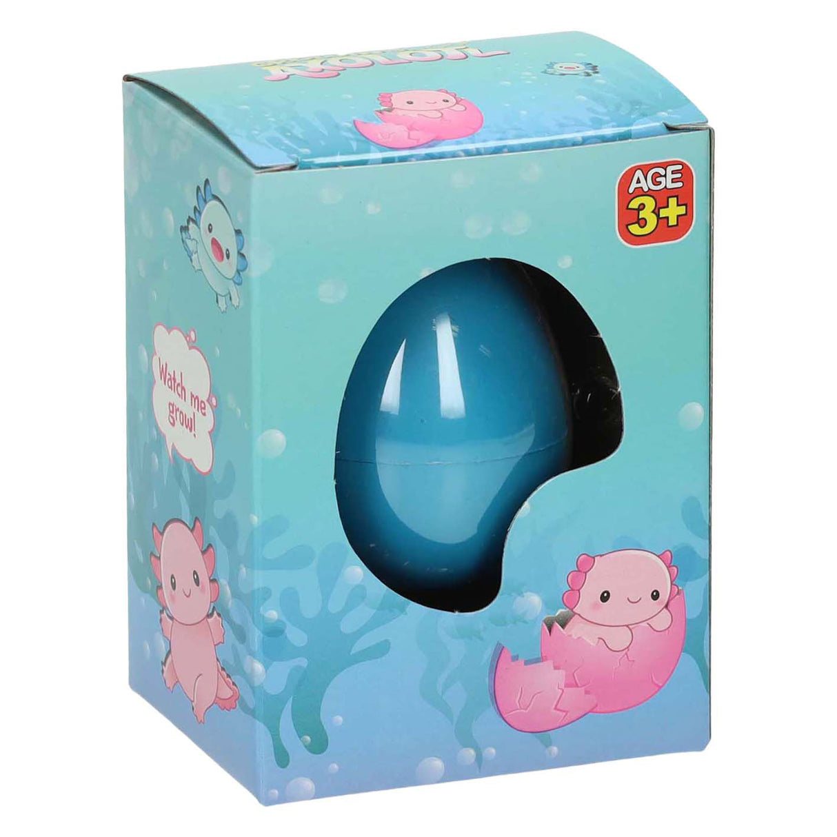 Duckiez wächst Ei-Axolotl