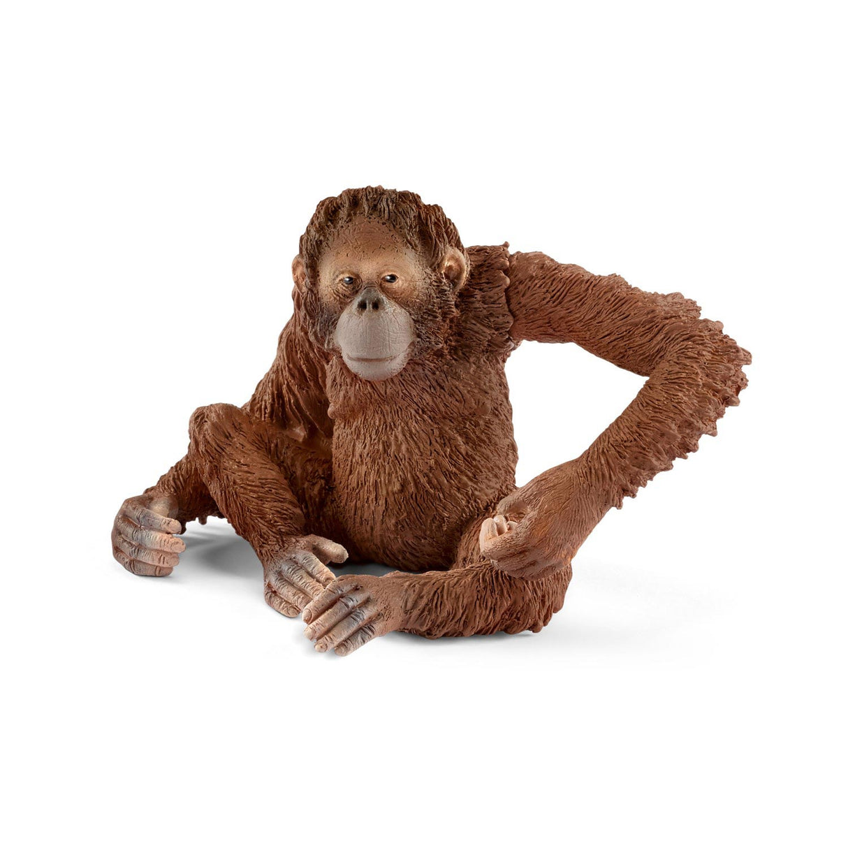 Schleich Wild Life Orangutan, Frau 14775