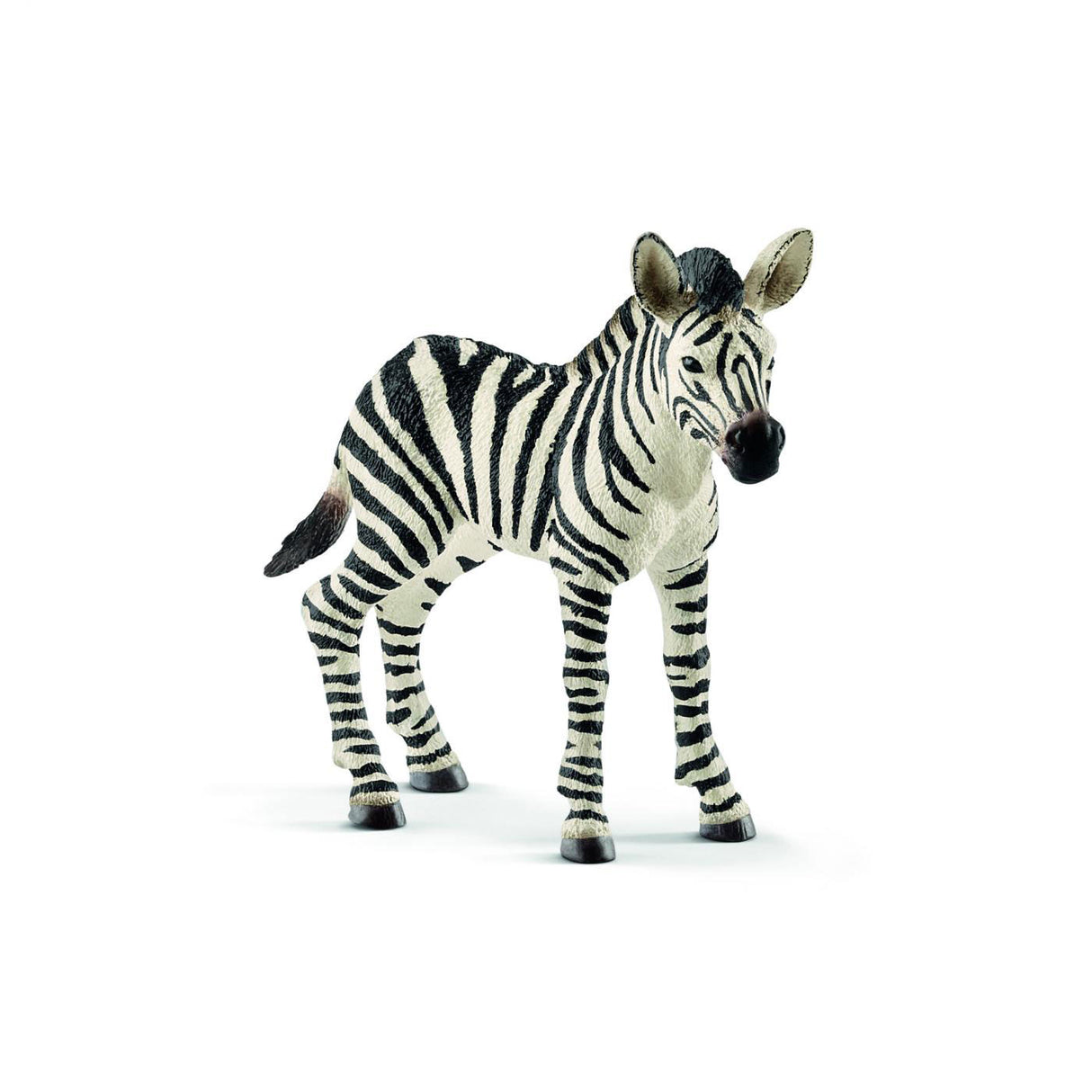 Schleich sauvage vie zébra jeune 14811