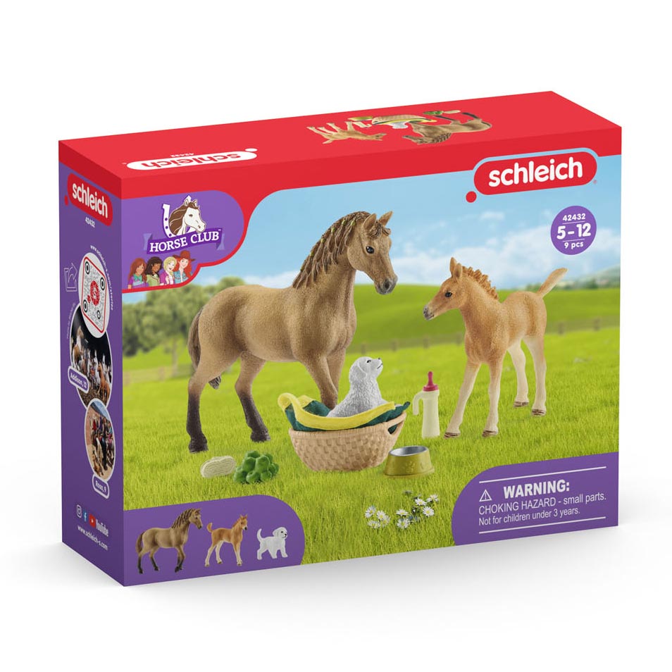 Schleich Horse Club Club Animals Care Set 42432