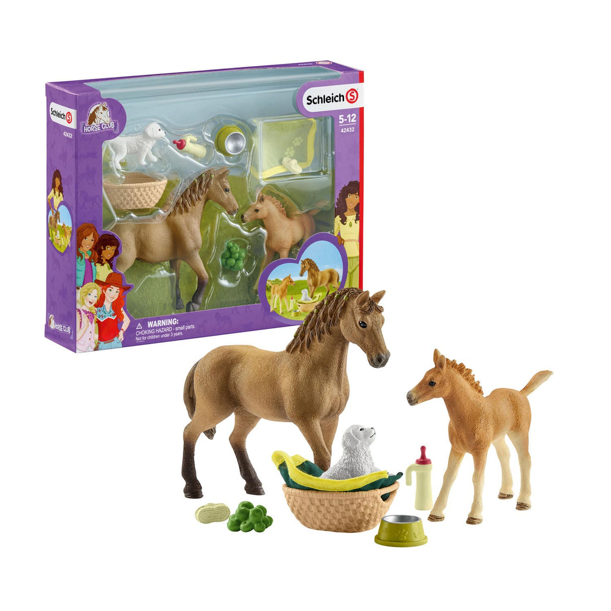 Schleich Horse Club Club Animals Care Set 42432