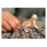 Schleich WILD LIFE Jachtluipaardwelpje 14866