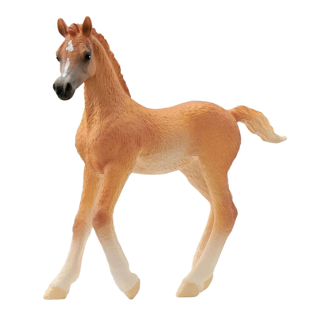 Schleich Horse Club Arabic Veulen 13984