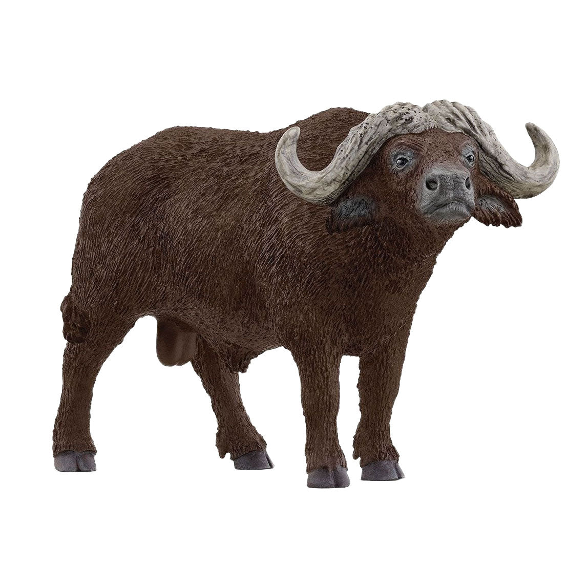 Schleich Wild Life Kafferbuffel 14872