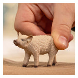 Schleich Bauernhofwelt Wollschwein Ferkel 14893