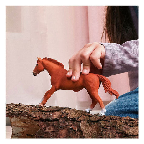 Schleich Horse Club Englischer Vollbluthengst 14915
