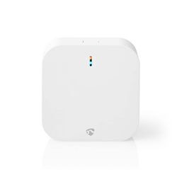 Intelligentes Gateway von Nedis