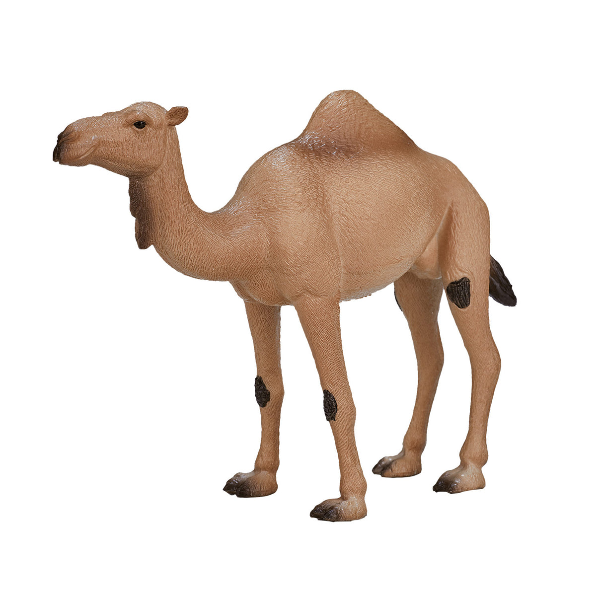 Mojo Wildlife Arab Camel 387113