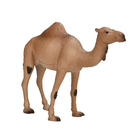 Mojo Wildlife Arab Camel 387113