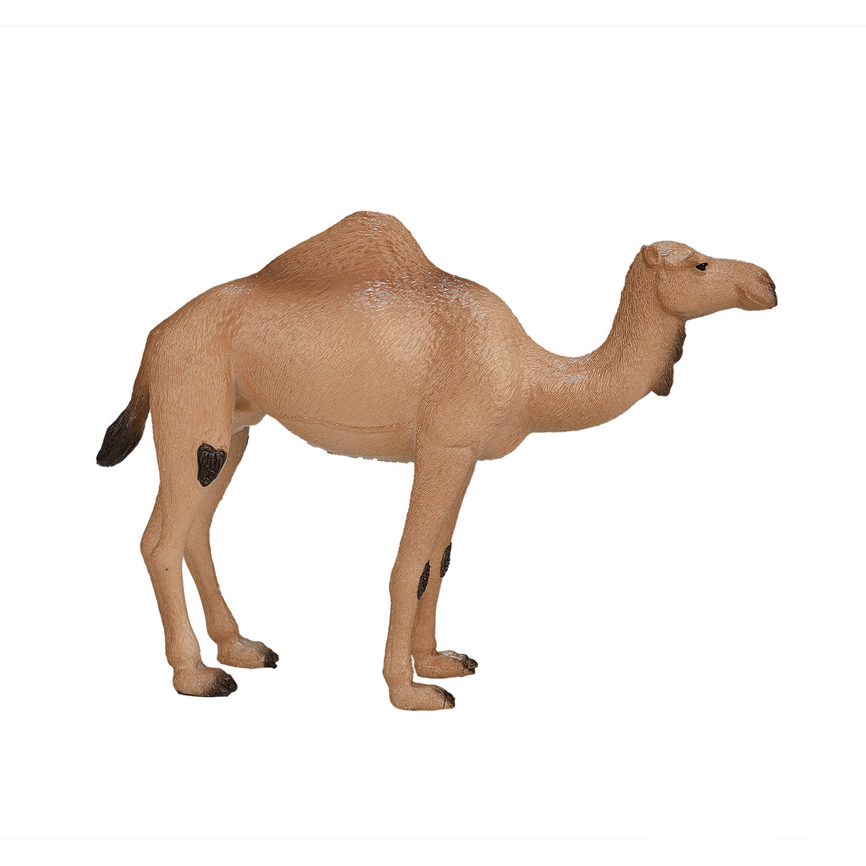 Mojo Wildlife Arab Camel 387113