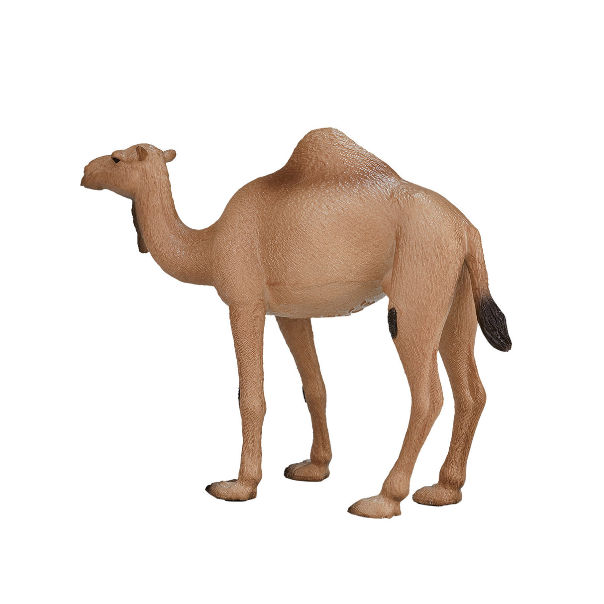 Mojo Wildlife Arab Camel 387113