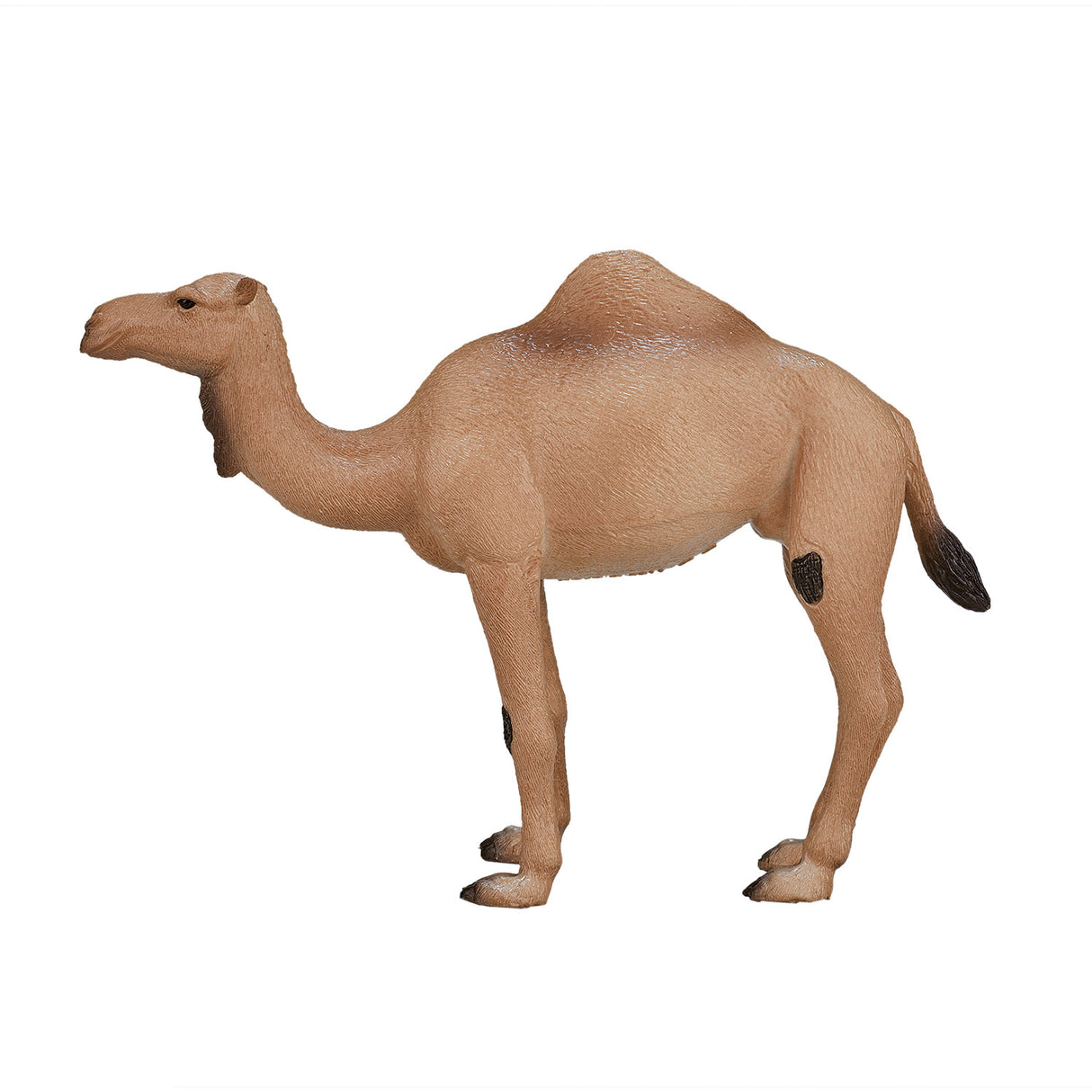 Mojo Wildlife Arab Camel 387113