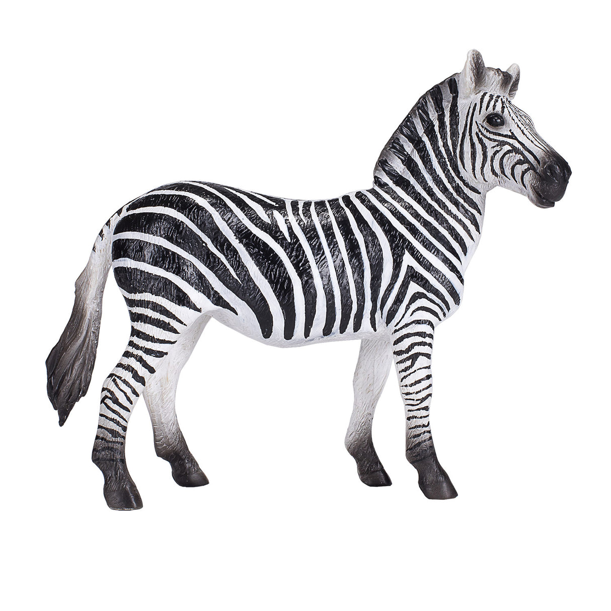 Mojo divja živali Zebra 387393