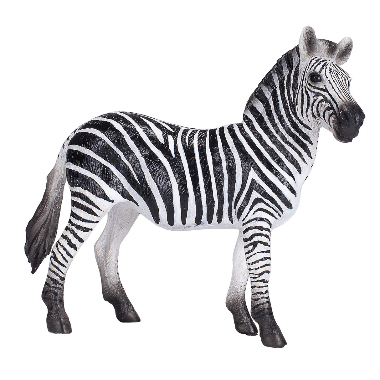 Mojo divja živali Zebra 387393