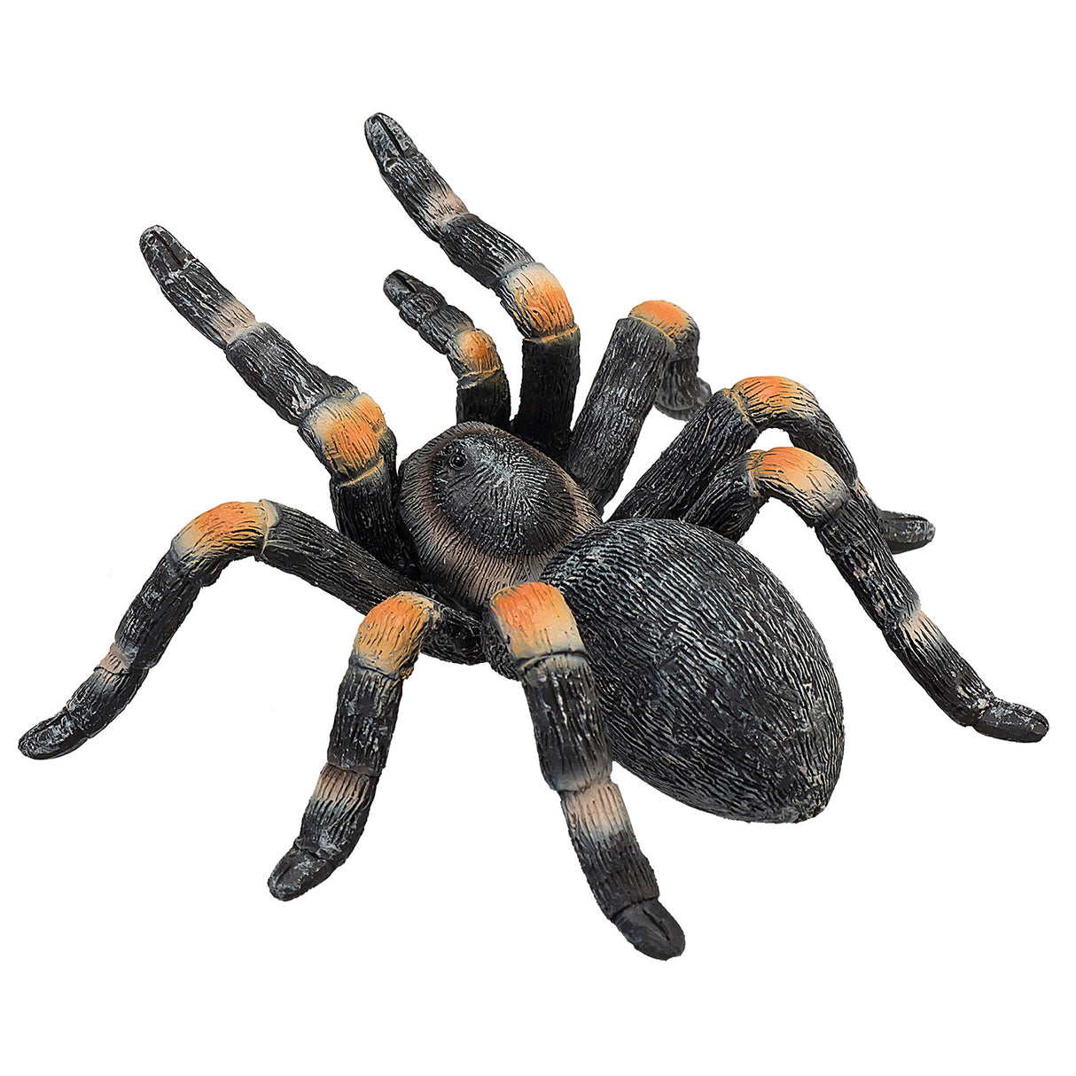 Mojo Wildlife Rote Vogelspinne – 387213