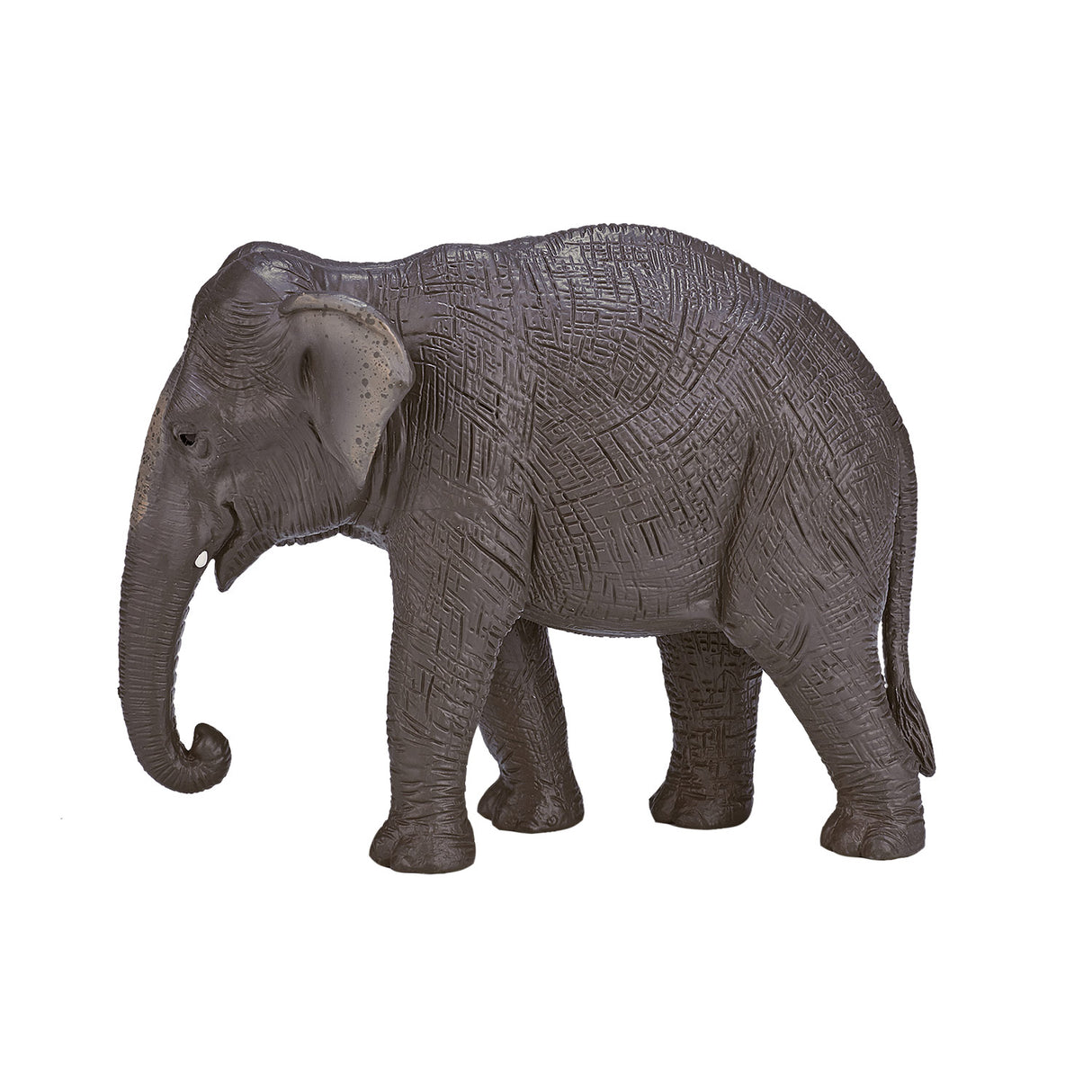 Mojo Wildlife Asian Elephant 387266